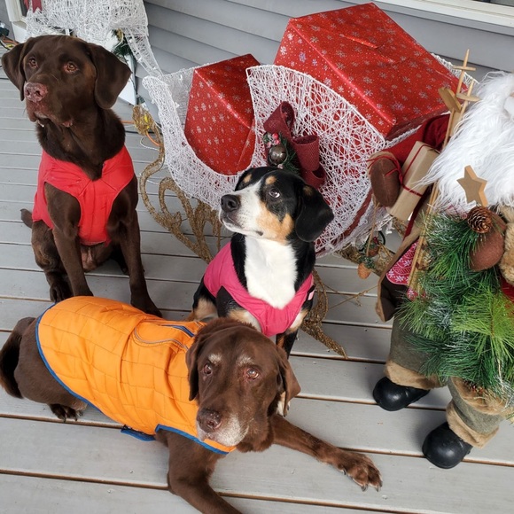 Meet your Posher, Christie - Picture 5 of 8